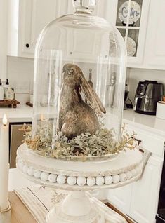 a glass clochet with a rabbit under it on top of a table in a kitchen