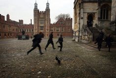 some people are running around in front of an old building and one person is on the ground