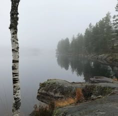 a foggy lake surrounded by trees and rocks