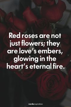 red roses are not just flowers they are love's embers, glowing in the heart's external fire