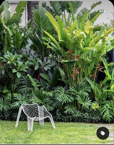 a white chair sitting in the middle of a lush green yard with lots of plants