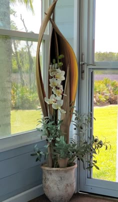 a potted plant sitting on top of a window sill next to a door