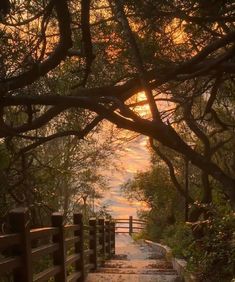 the sun is setting behind some trees and steps leading down to the water in the distance