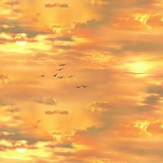 the birds are flying high up in the sky at sunset or dawn, as well as some clouds