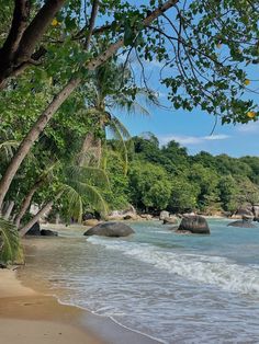 the beach is lined with large rocks and trees