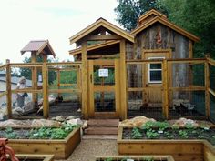 an outdoor garden with several wooden buildings and plants in the ground, including broccoli