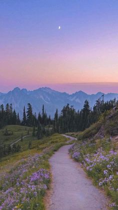 a path leading to the top of a mountain with wildflowers and trees in the foreground