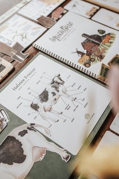 a table topped with lots of different types of papers and pictures on top of it