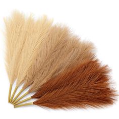 three different colored feathers on a white background