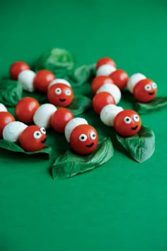 red and white caterpillars sitting on top of green leaves