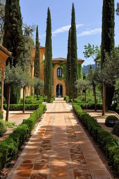 the walkway is lined with trees and bushes