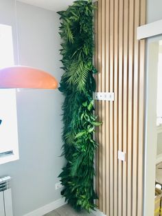 a room with a plant on the wall