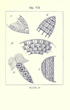 an old book with drawings of different shapes and sizes on the pages, including leaves