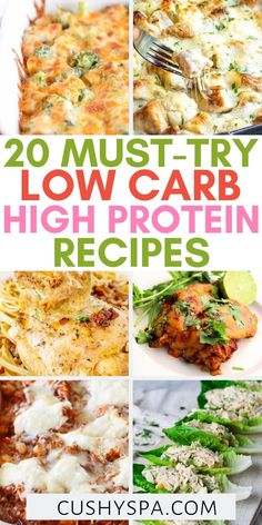 20 must try low carb high protein recipes