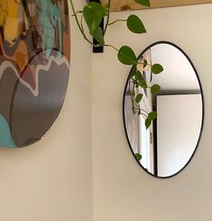 a mirror hanging on the wall next to a potted plant