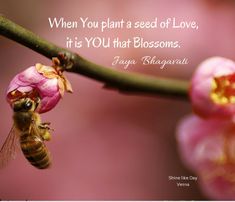 a bee sitting on top of a pink flower next to a green branch with a quote about love