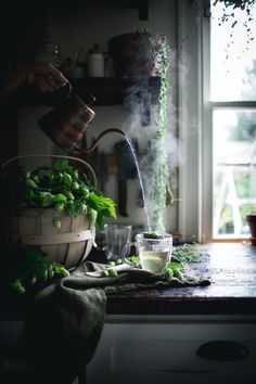 a person pouring water into a pot on top of a counter next to some plants