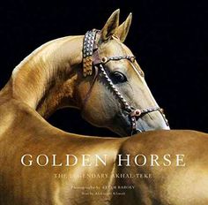 the cover of golden horse, with an image of a brown horse wearing a bridle