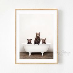 three bears are sitting in a bathtub together