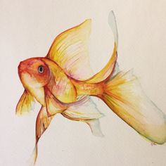 a watercolor painting of a goldfish in mid air with it's tail up