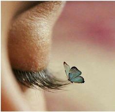 a close up of a person's eye with a butterfly on top of it