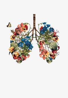 an image of the lungs with flowers and butterflies on it's side, as well as a butterfly flying over them