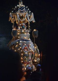 an elephant is decorated with lights and decorations