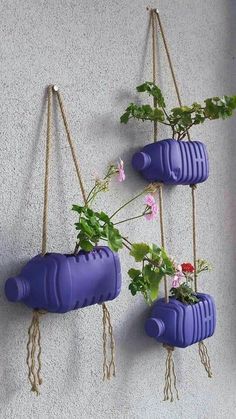 three hanging planters with plants in them on the side of a wall, one is purple