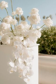 white flowers in a vase on a table