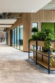 an office building with plants in planters on the side of the wall and windows