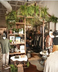 a clothing store filled with lots of green plants and hanging clothes on shelves next to a bed