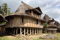 an old wooden house with thatched roof and straw bales on the sides, surrounded by palm trees