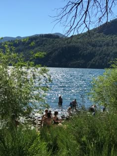 people are swimming in the water near some trees