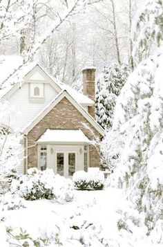 a house surrounded by snow covered trees and bushes with text overlay that reads a guide to winter - proofing your house