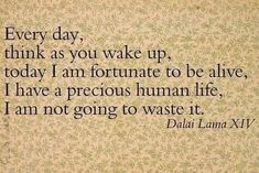 a quote from dali lamaa xi on the topic of today's human life