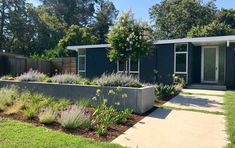 a modern home with landscaping in the front yard