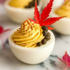 deviled eggs with mustard and black olives on a white plate next to red maple leaf