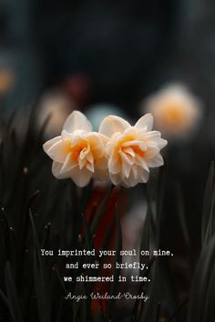 two white flowers sitting in the middle of some black grass with a quote on it