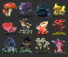 a bunch of different types of mushrooms on a black background