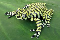 a yellow and black stuffed animal laying on top of a green leaf covered ground with it's eyes open