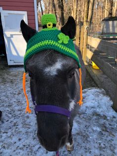 a close up of a horse wearing a knitted hat with shamrocks on it's head