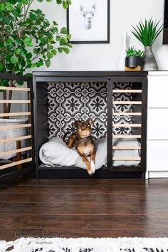 a dog is sitting in its crate on the floor next to a potted plant