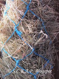 a pile of hay sitting on top of a wooden floor next to a blue net