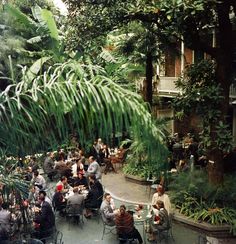 a group of people sitting at tables in a garden with lots of trees and plants