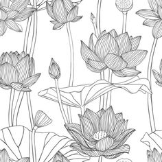 black and white drawing of water lilies