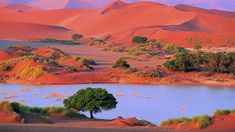 a lake surrounded by sand dunes with trees in the foreground and mountains in the background