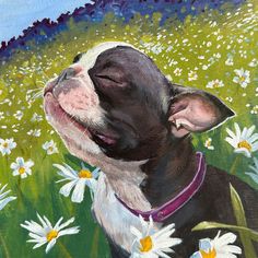 a painting of a black and white dog laying in the grass with daisies around him