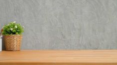 a potted plant sitting on top of a wooden table next to a white vase