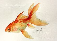 a watercolor painting of a goldfish