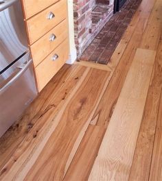 a dog is standing in the kitchen by the stove and sink, looking at the wood floor